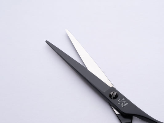 Winner WX500/WX550/WX600